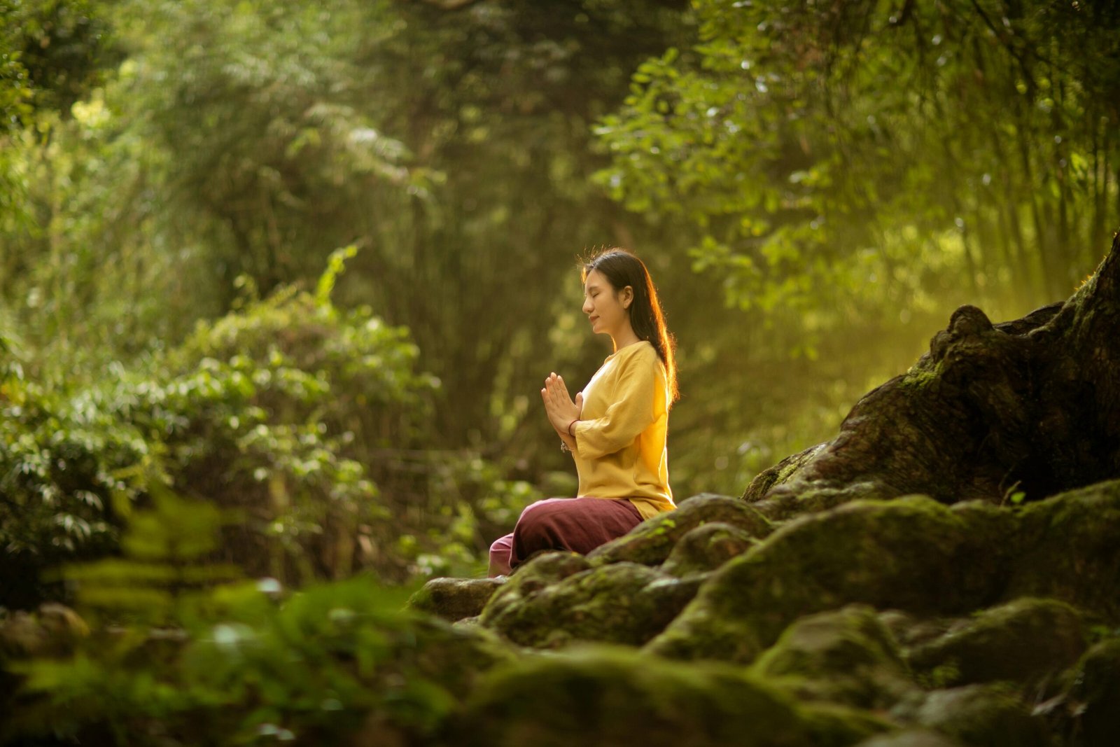 mulher sentada meditando na floresta